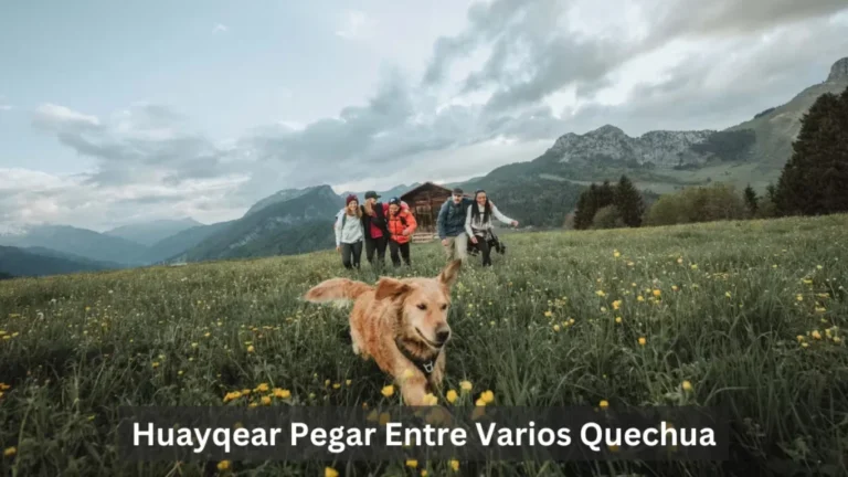 Huayqear Pegar Entre Varios Quechua