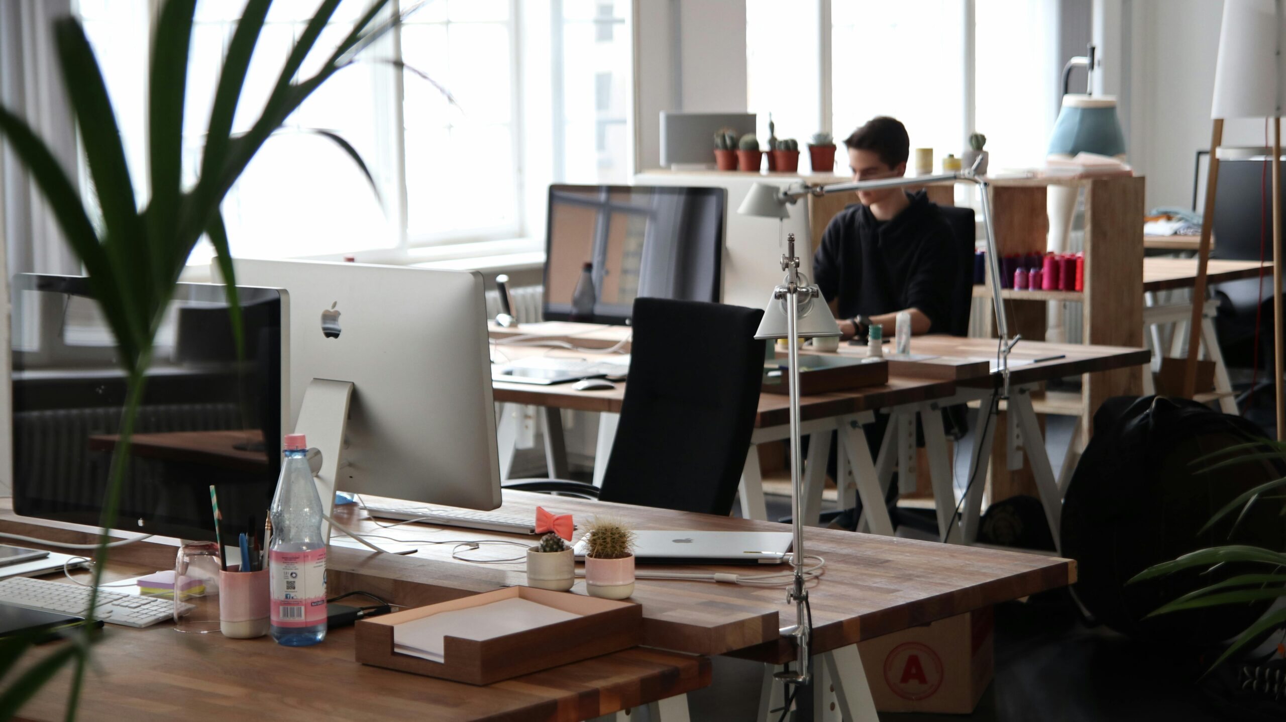 Office Avstarnews